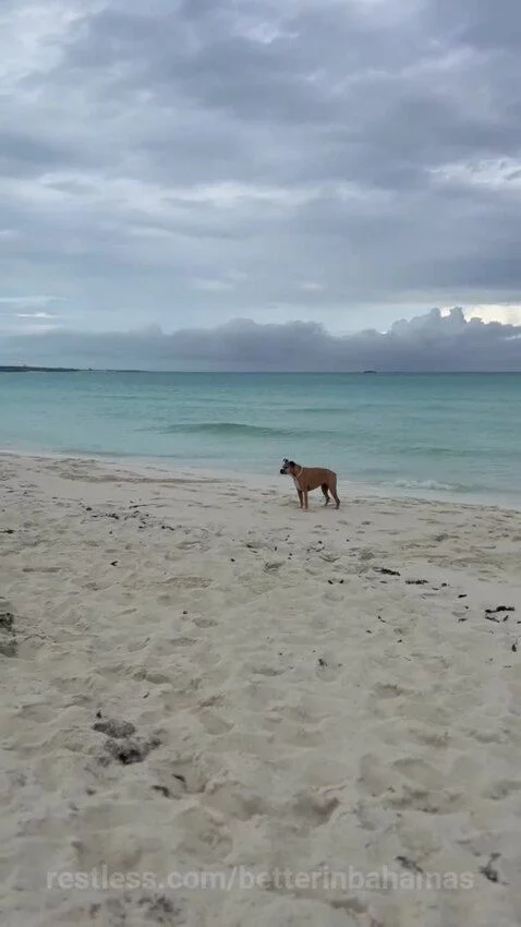 betterinbahamas's post preview (bahamas)