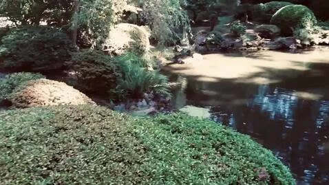 video poster