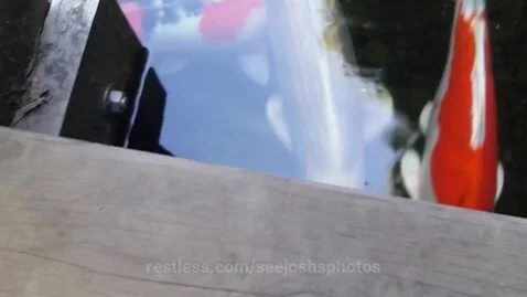 video poster