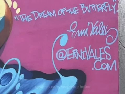video poster