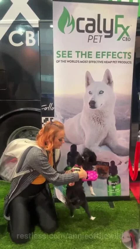 annieofthewild post preview