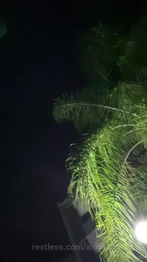 andiqdi's post preview (night)