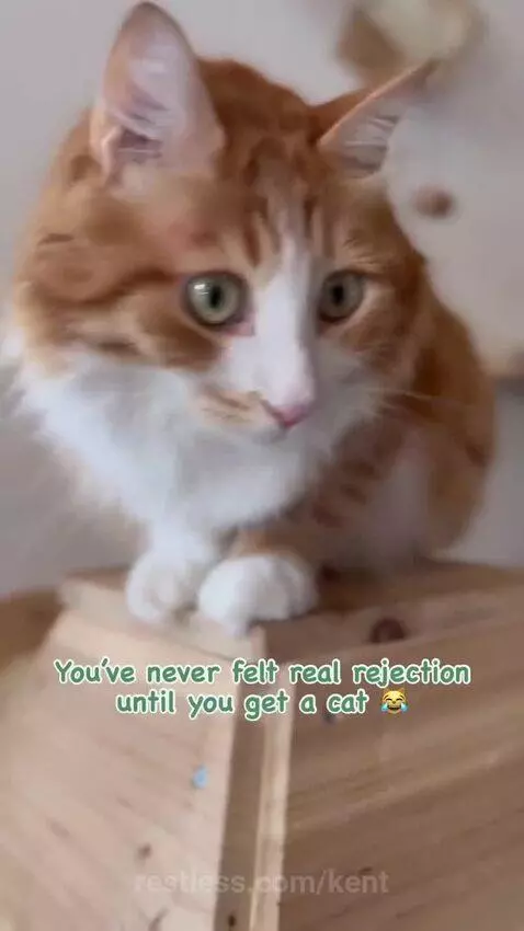 travel, vegasvacation, vacationvibes by kent