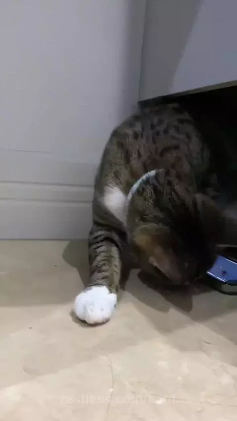 costarica, ca, vacationvibes by kent