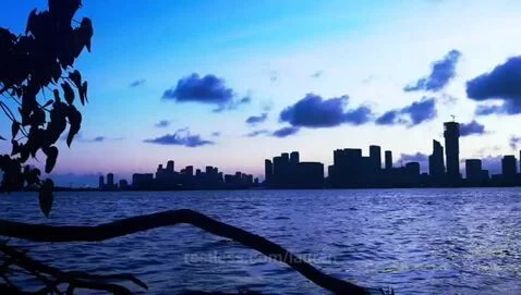 video poster